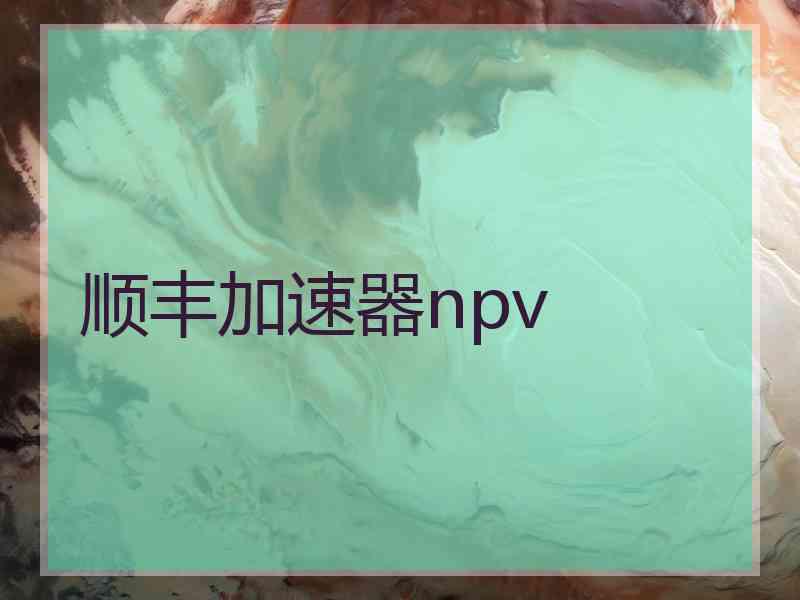 顺丰加速器npv