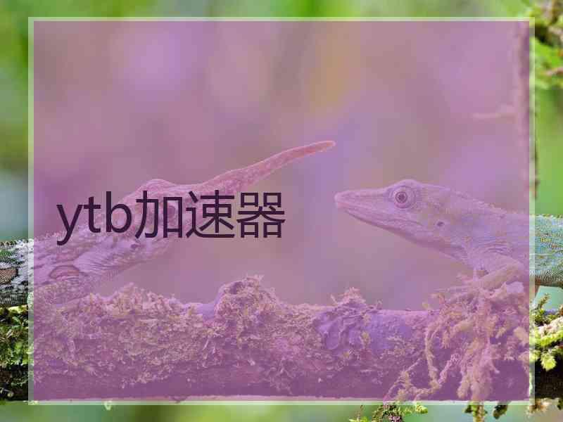 ytb加速器