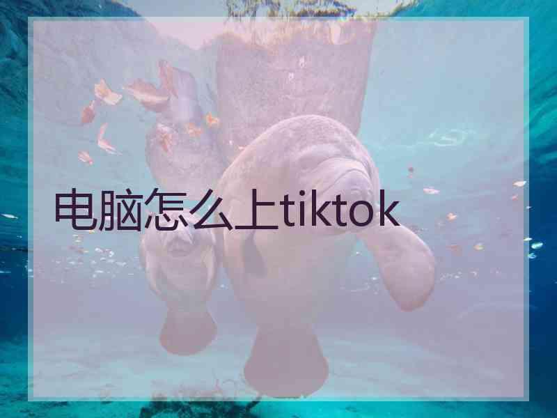 电脑怎么上tiktok