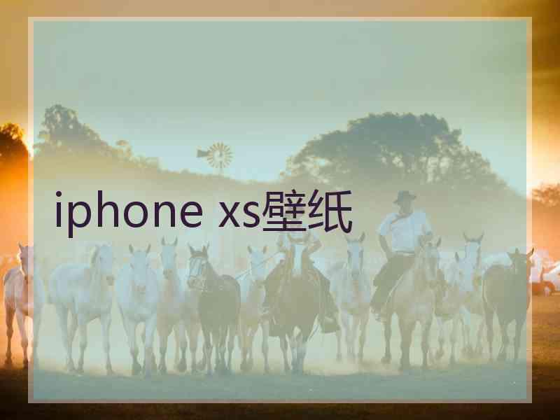 iphone xs壁纸