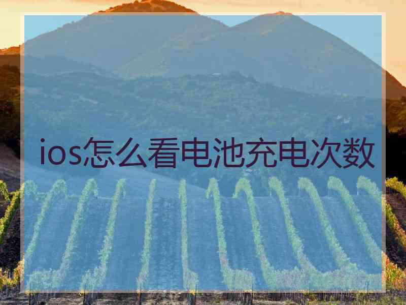 ios怎么看电池充电次数