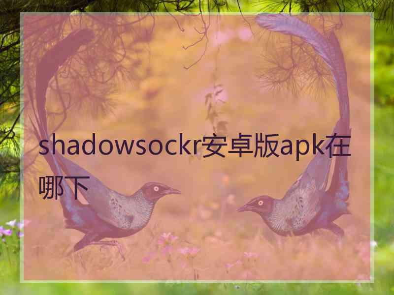 shadowsockr安卓版apk在哪下