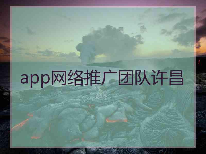 app网络推广团队许昌