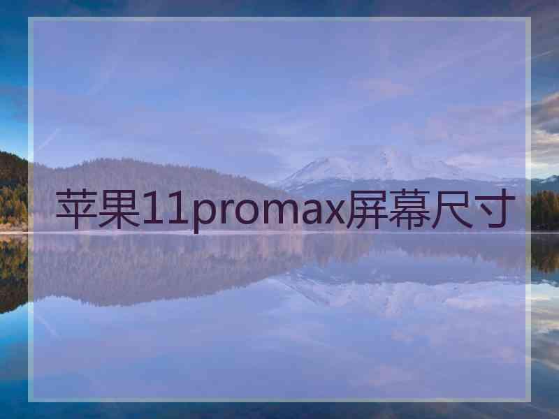 苹果11promax屏幕尺寸