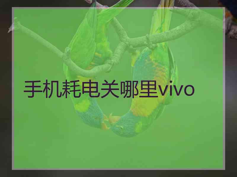 手机耗电关哪里vivo