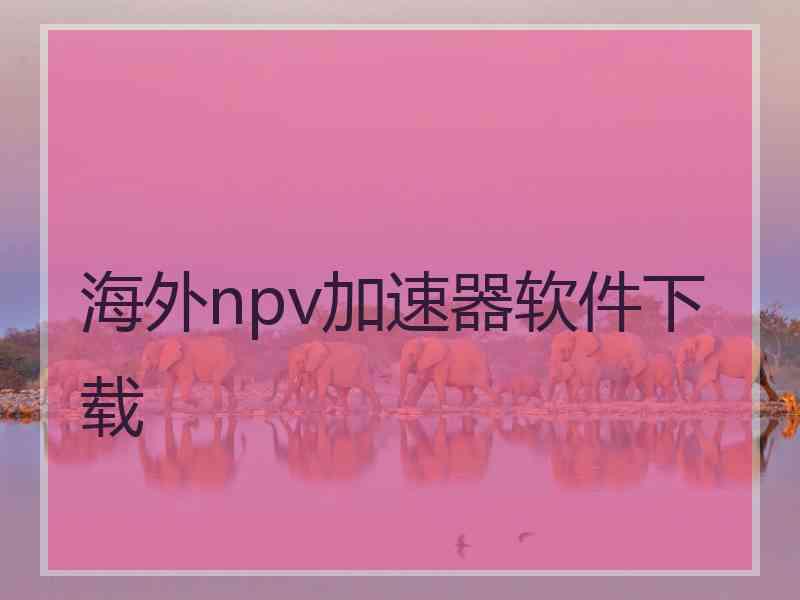 海外npv加速器软件下载