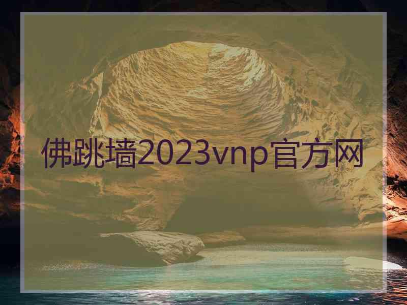 佛跳墙2023vnp官方网