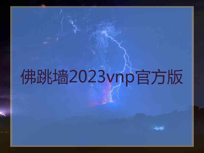 佛跳墙2023vnp官方版