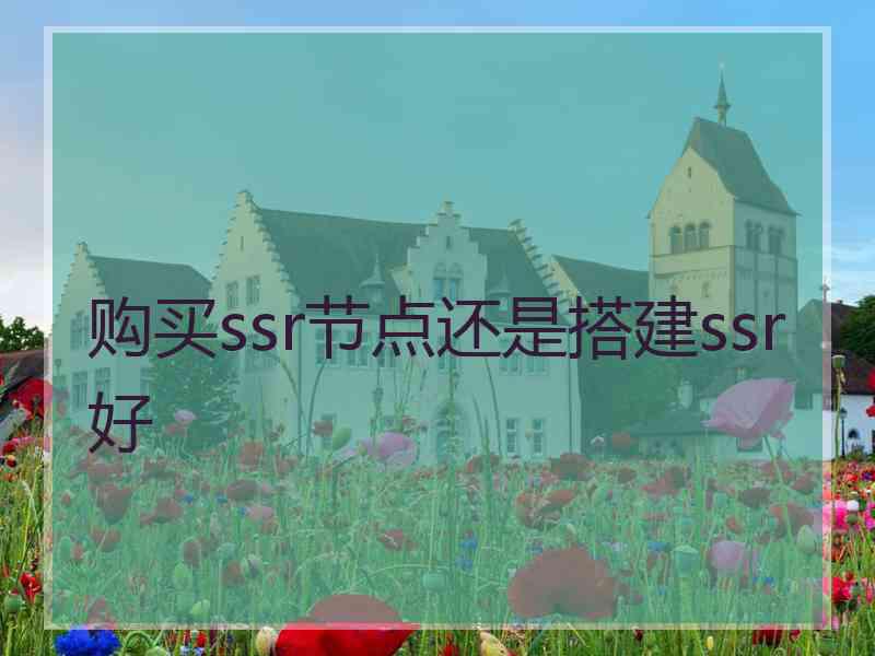 购买ssr节点还是搭建ssr好