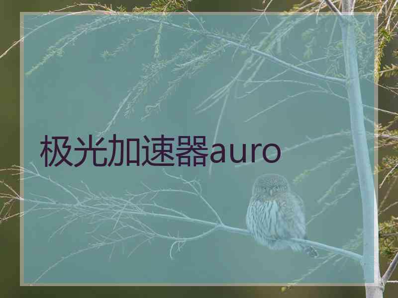 极光加速器auro