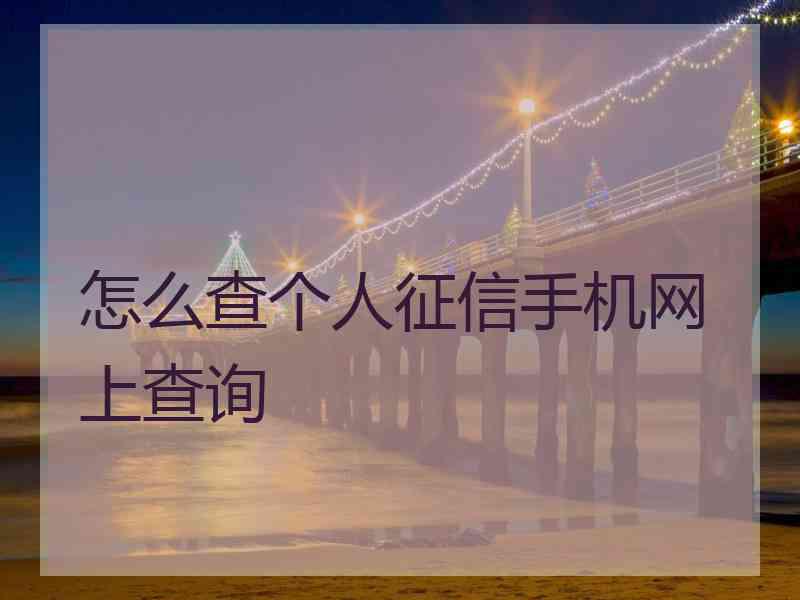 怎么查个人征信手机网上查询