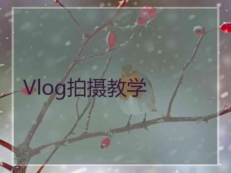 Vlog拍摄教学