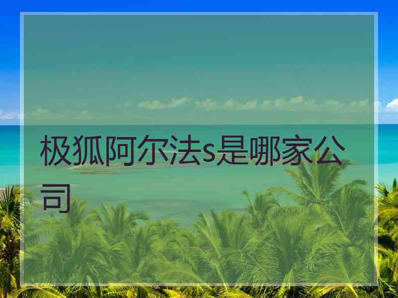 极狐阿尔法s是哪家公司