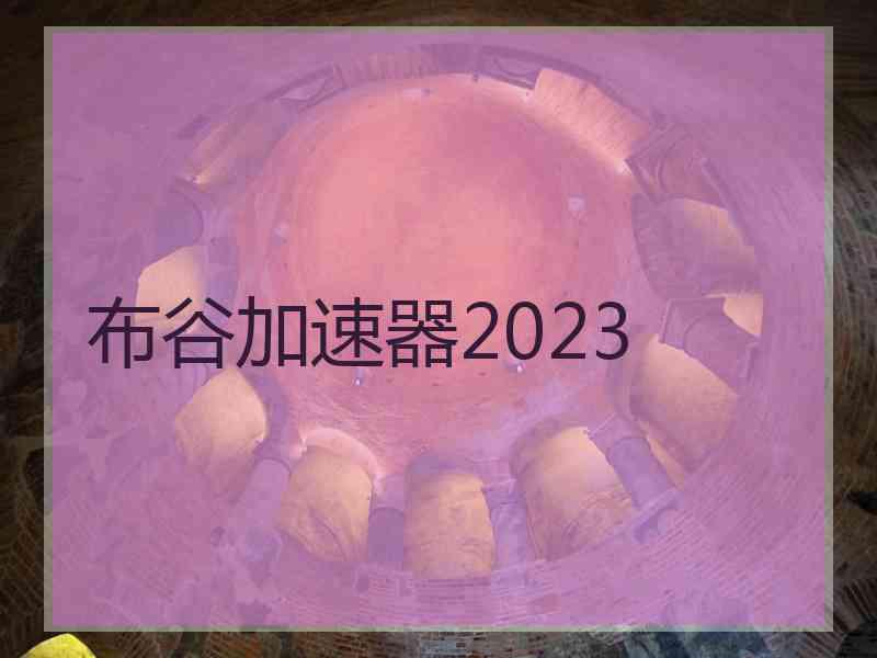 布谷加速器2023