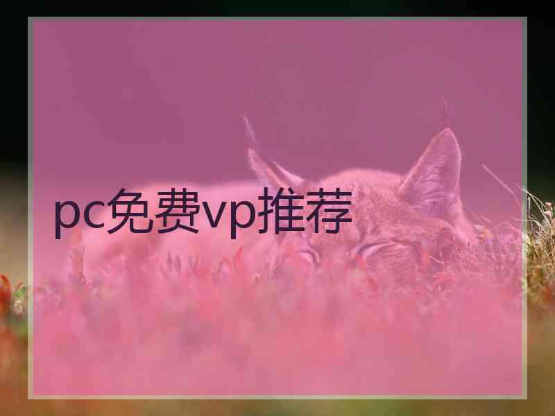 pc免费vp推荐