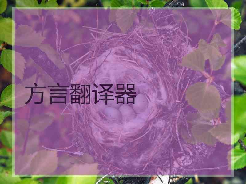 方言翻译器