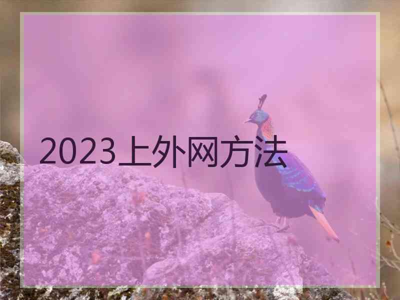 2023上外网方法