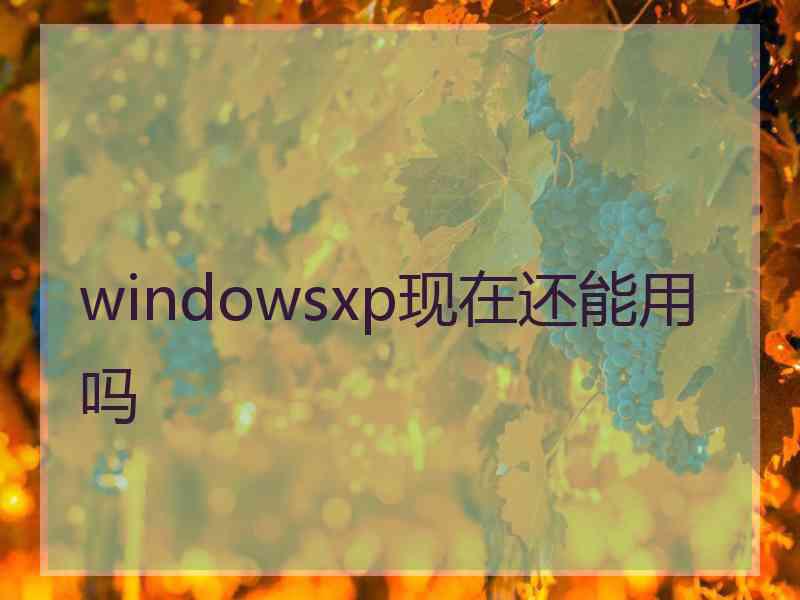 windowsxp现在还能用吗