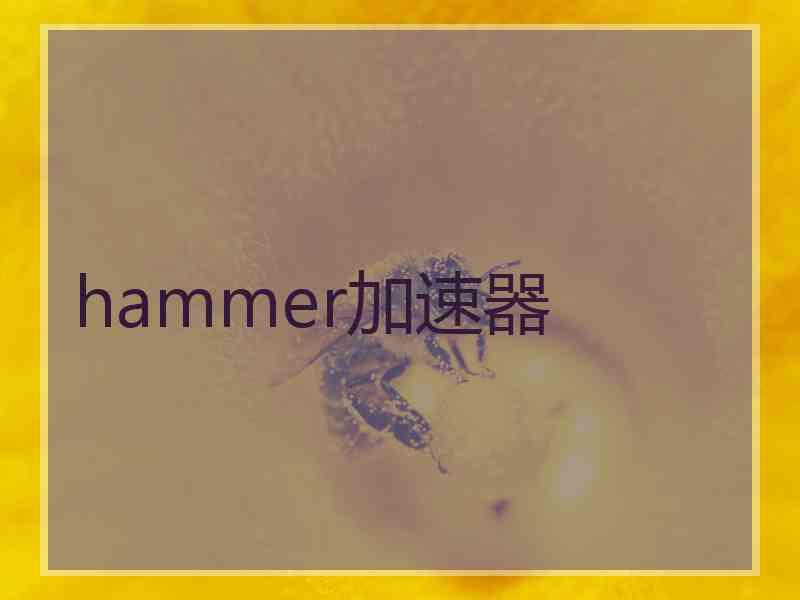 hammer加速器