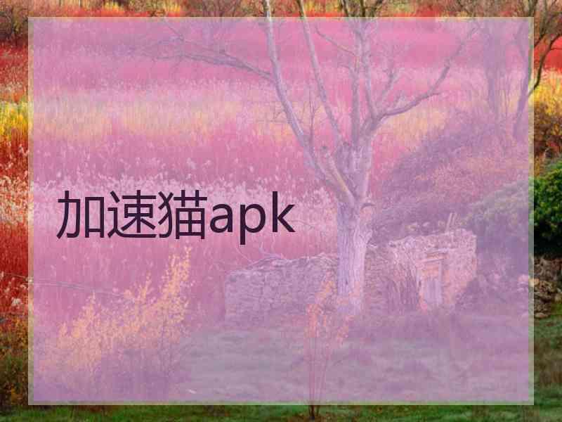 加速猫apk