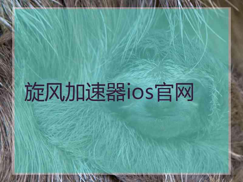 旋风加速器ios官网