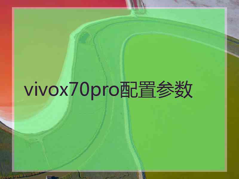 vivox70pro配置参数