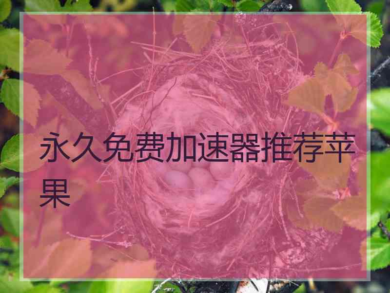 永久免费加速器推荐苹果