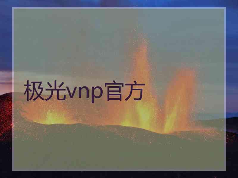 极光vnp官方