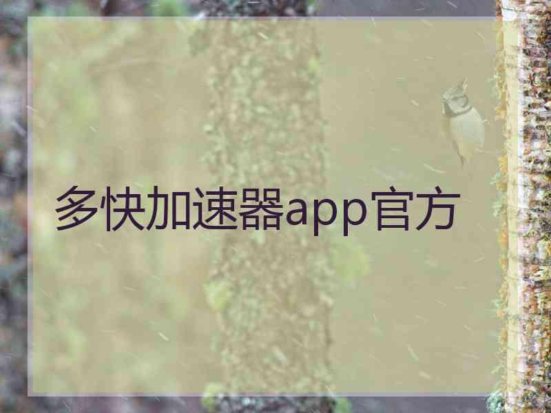 多快加速器app官方