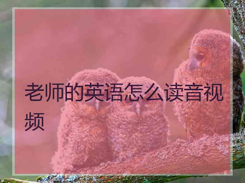 老师的英语怎么读音视频