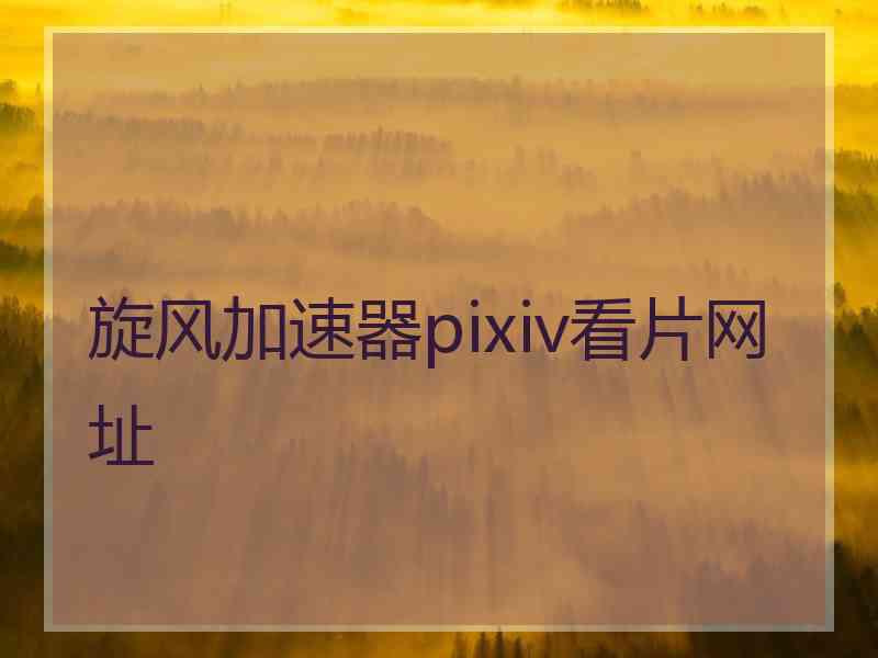 旋风加速器pixiv看片网址