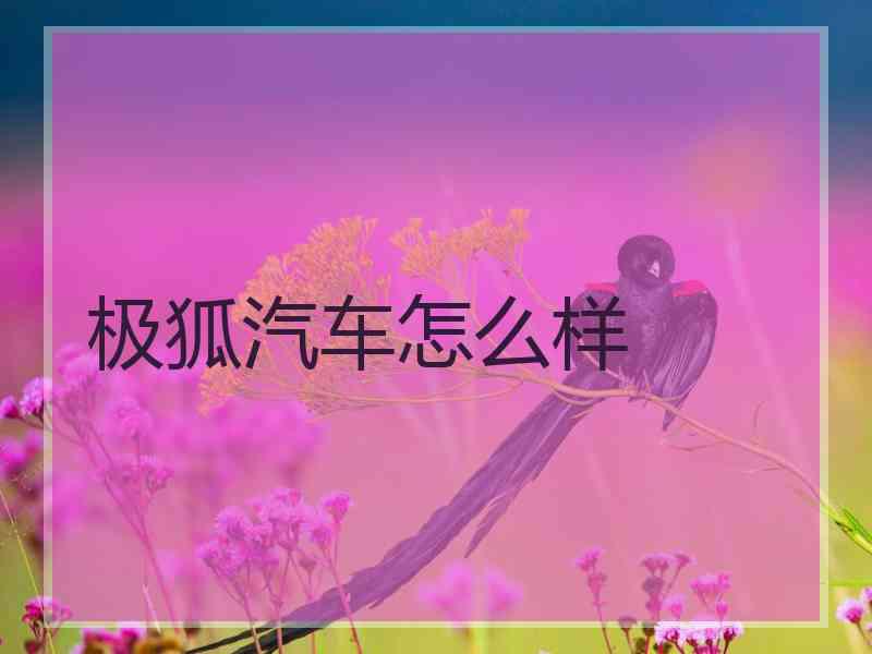 极狐汽车怎么样