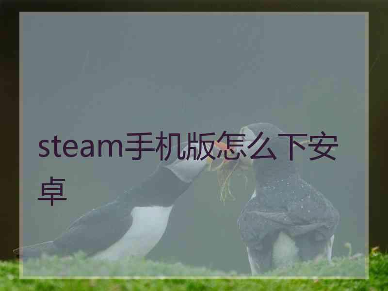 steam手机版怎么下安卓