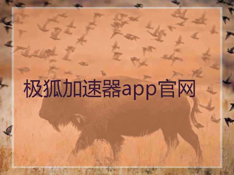 极狐加速器app官网