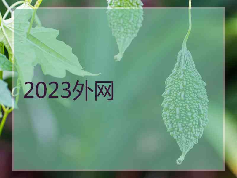 2023外网