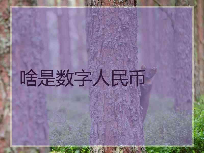 啥是数字人民币