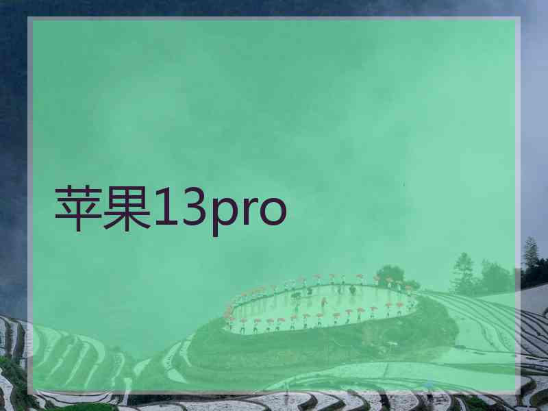 苹果13pro