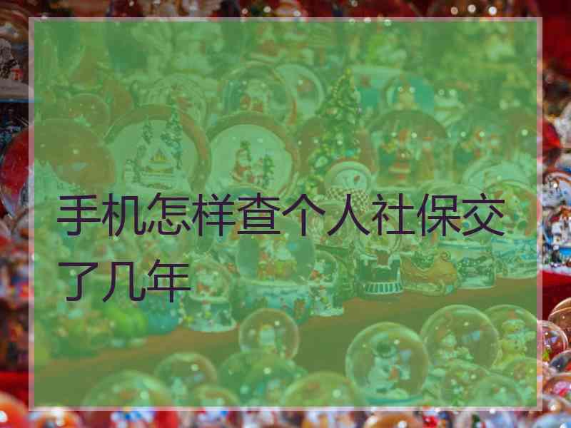 手机怎样查个人社保交了几年