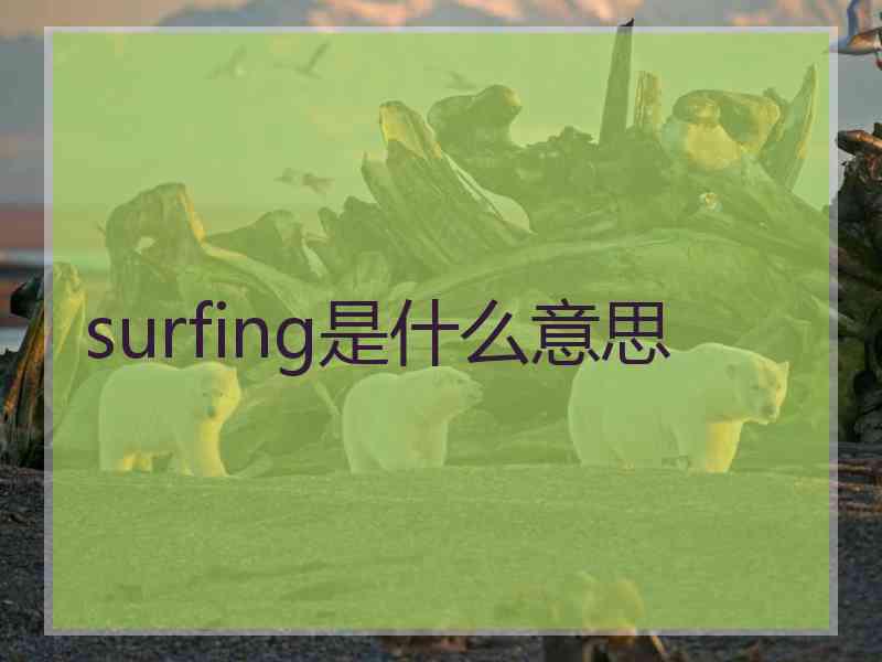 surfing是什么意思