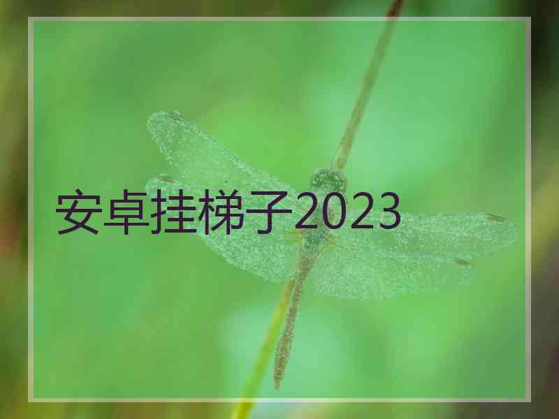 安卓挂梯子2023