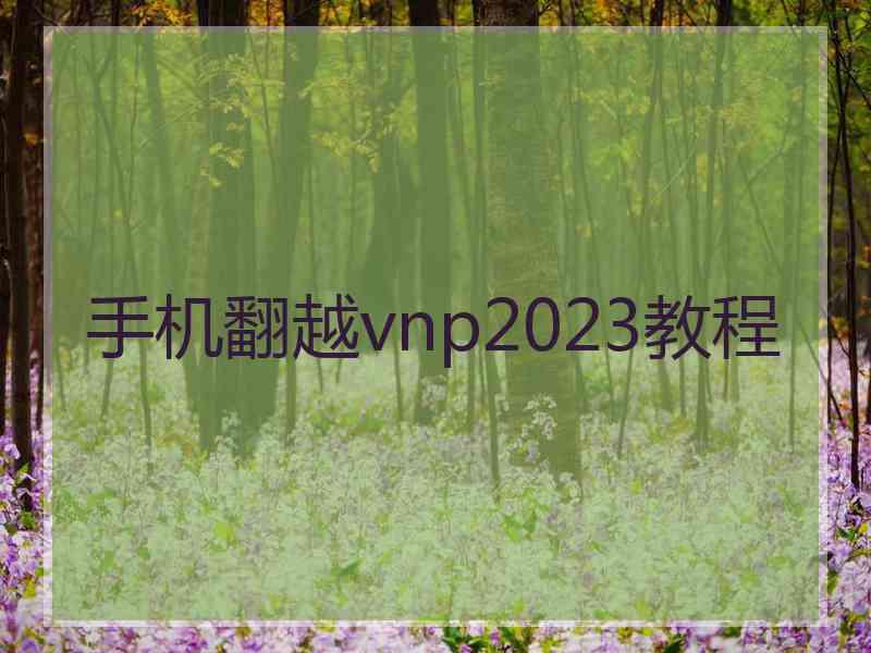 手机翻越vnp2023教程