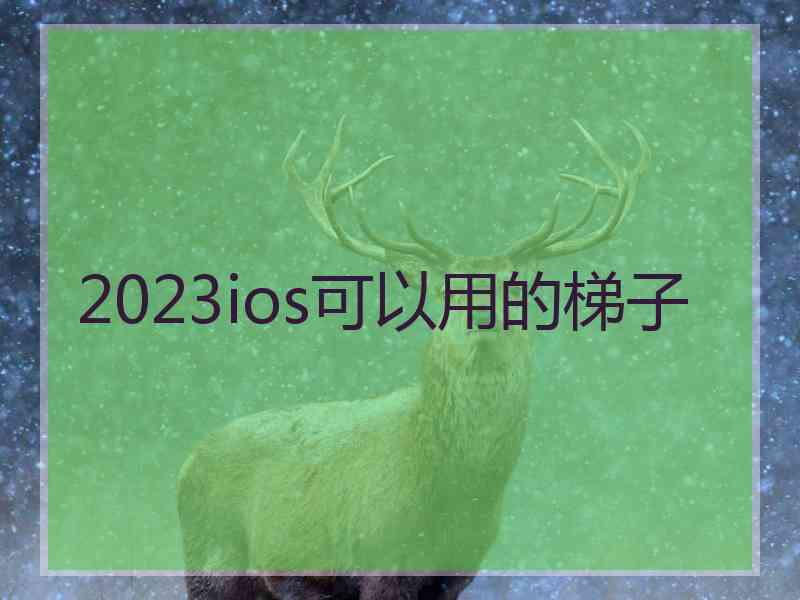 2023ios可以用的梯子