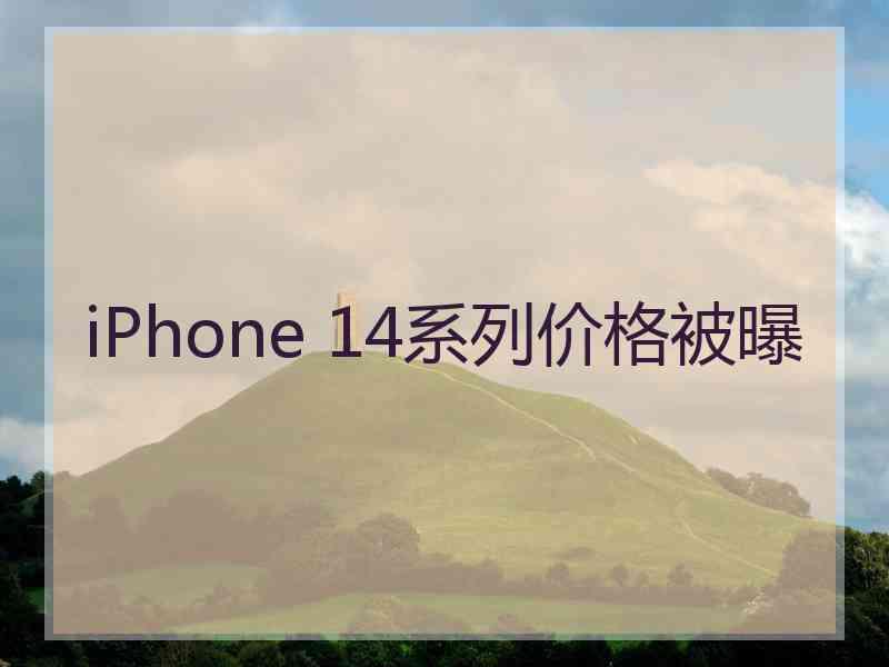 iPhone 14系列价格被曝