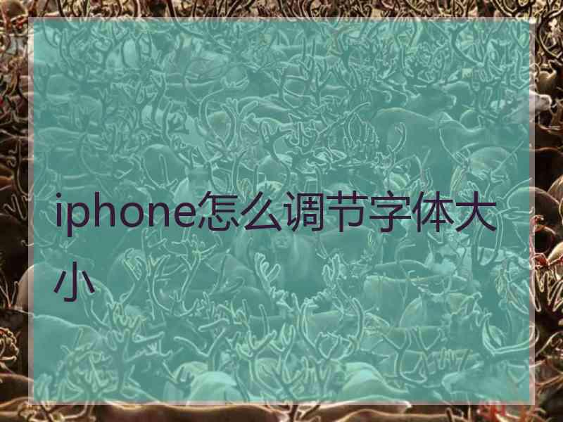 iphone怎么调节字体大小