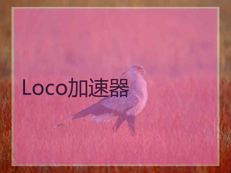 Loco加速器