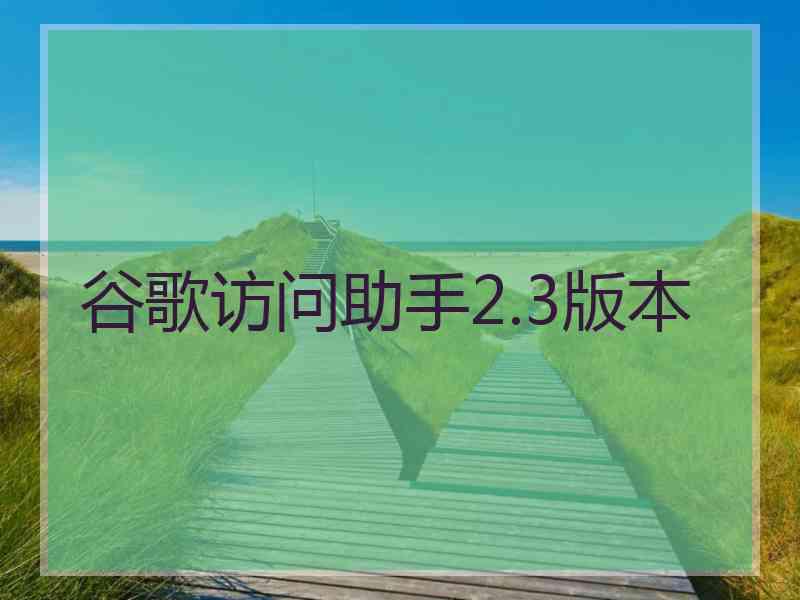 谷歌访问助手2.3版本