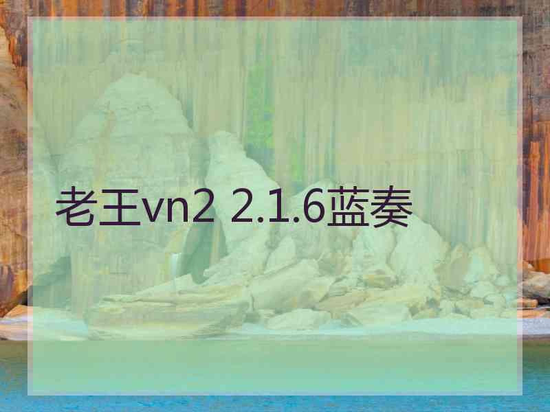 老王vn2 2.1.6蓝奏