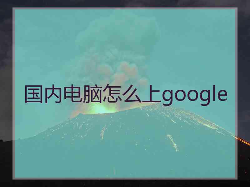 国内电脑怎么上google