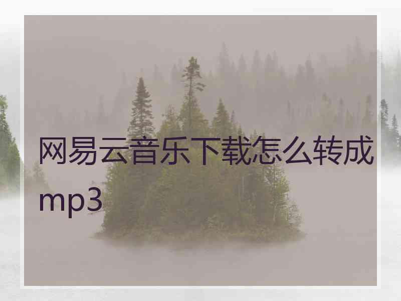 网易云音乐下载怎么转成mp3