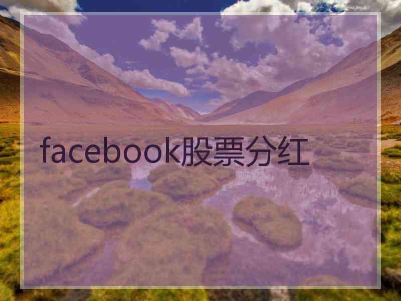 facebook股票分红